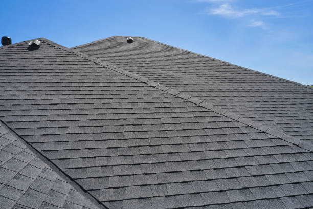 Best Roof Leak Repair  in Chesterton, IN